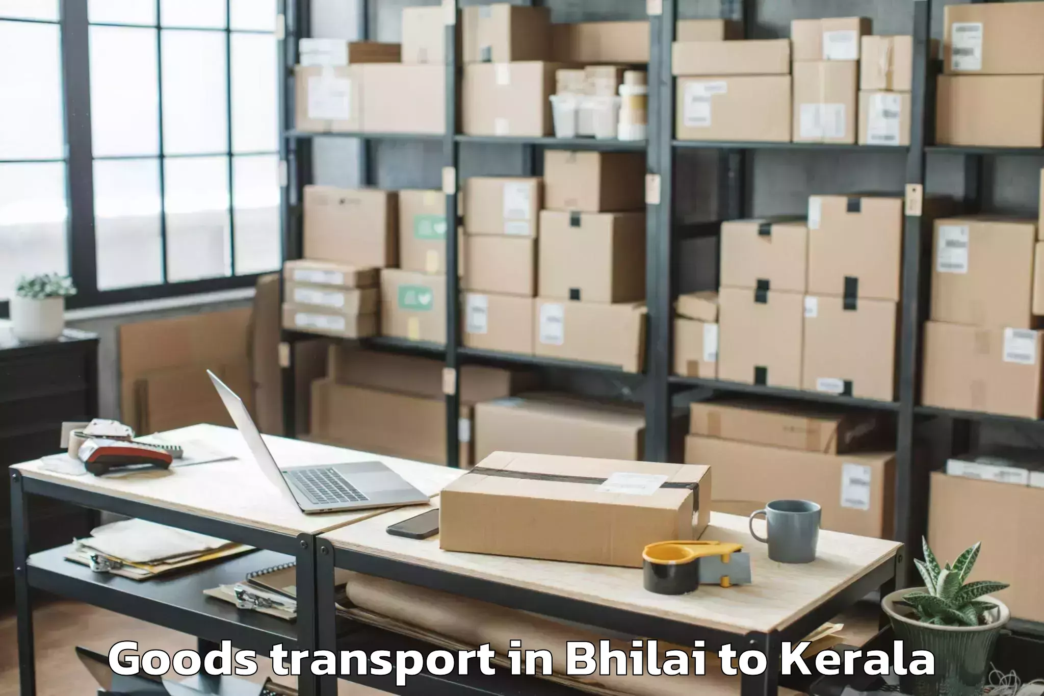 Reliable Bhilai to Lulu Mall Kochi Goods Transport